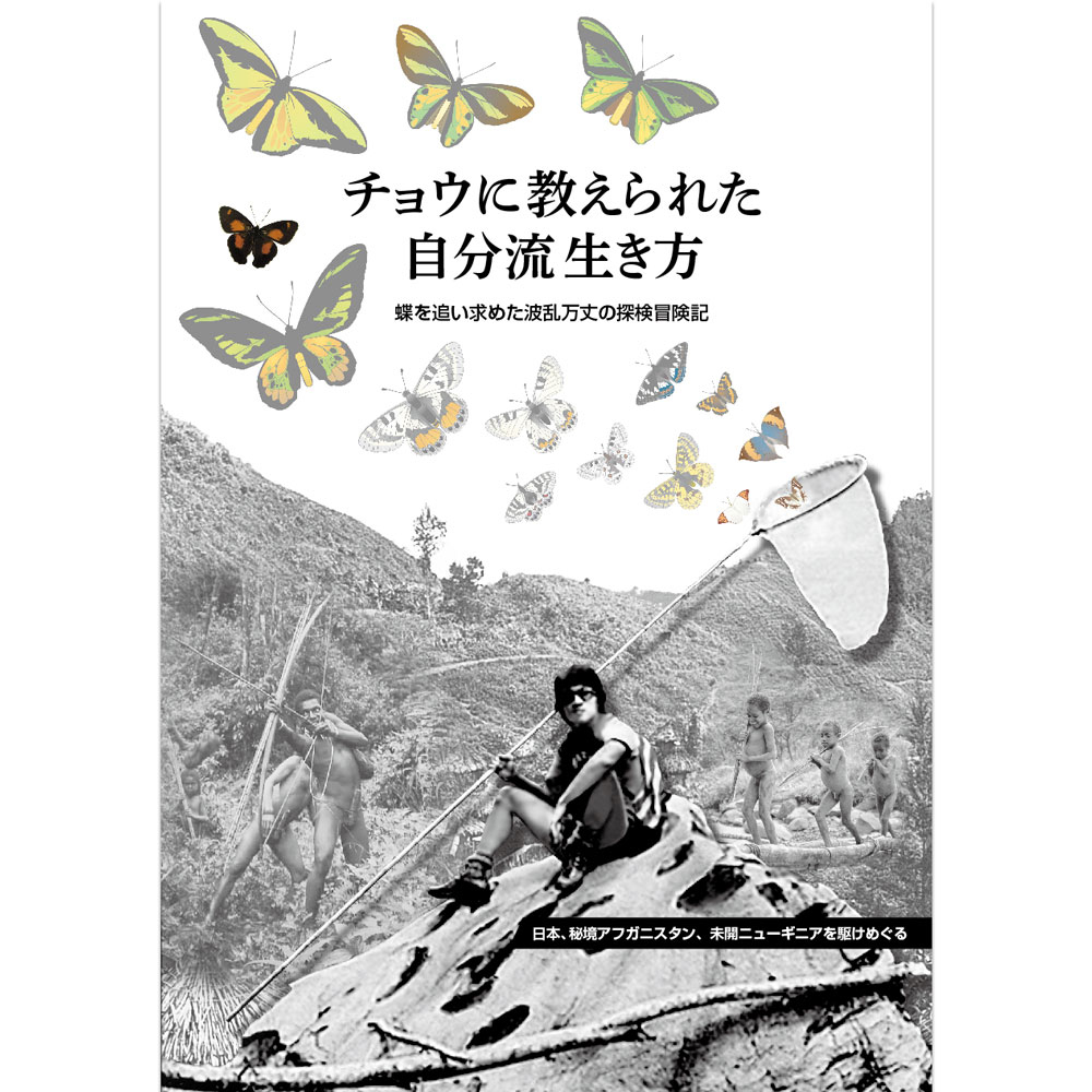 わっくん様専用 ゴクラクトリバネペア - 標本