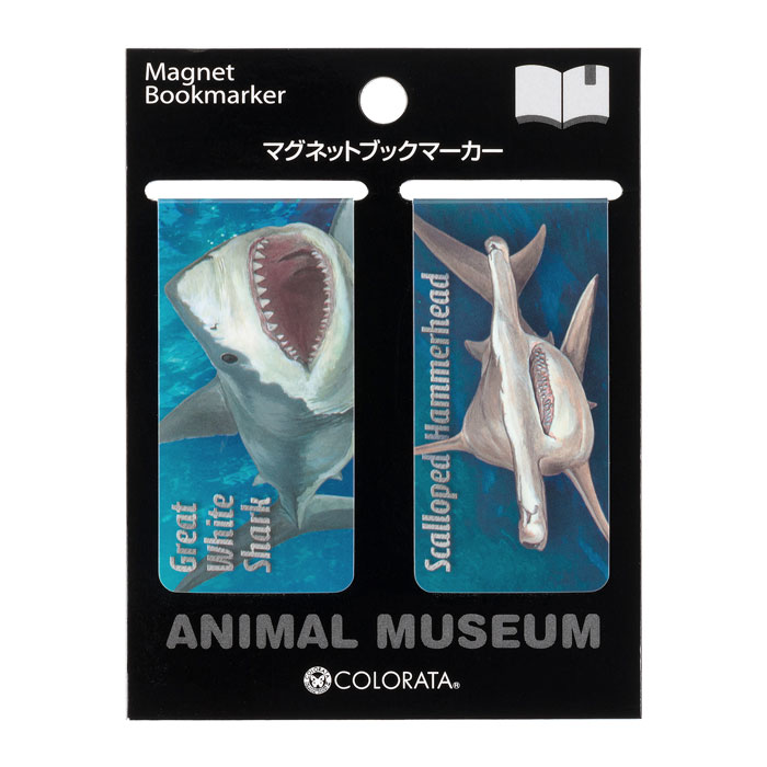 y*i様 アガベ　奇跡の株スナグルトゥース　ホホジロザメ　キングアーサー　ぶつぶ y*i様 アガベ 奇跡の株スナグルトゥース ホホジロザメ キング