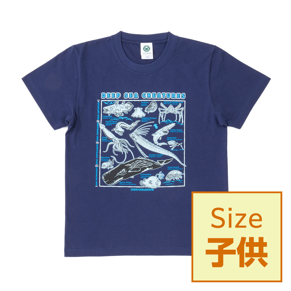 ゆらゆら帝国 Tシャツ 公式 オフィシャルグッズ 赤 S 海洋生物