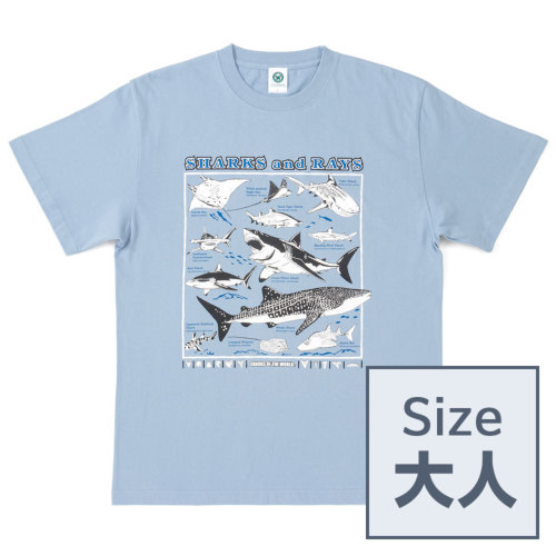 【大人サイズ】生物図譜 Tシャツ サメとエイの仲間 スモーキーブルー