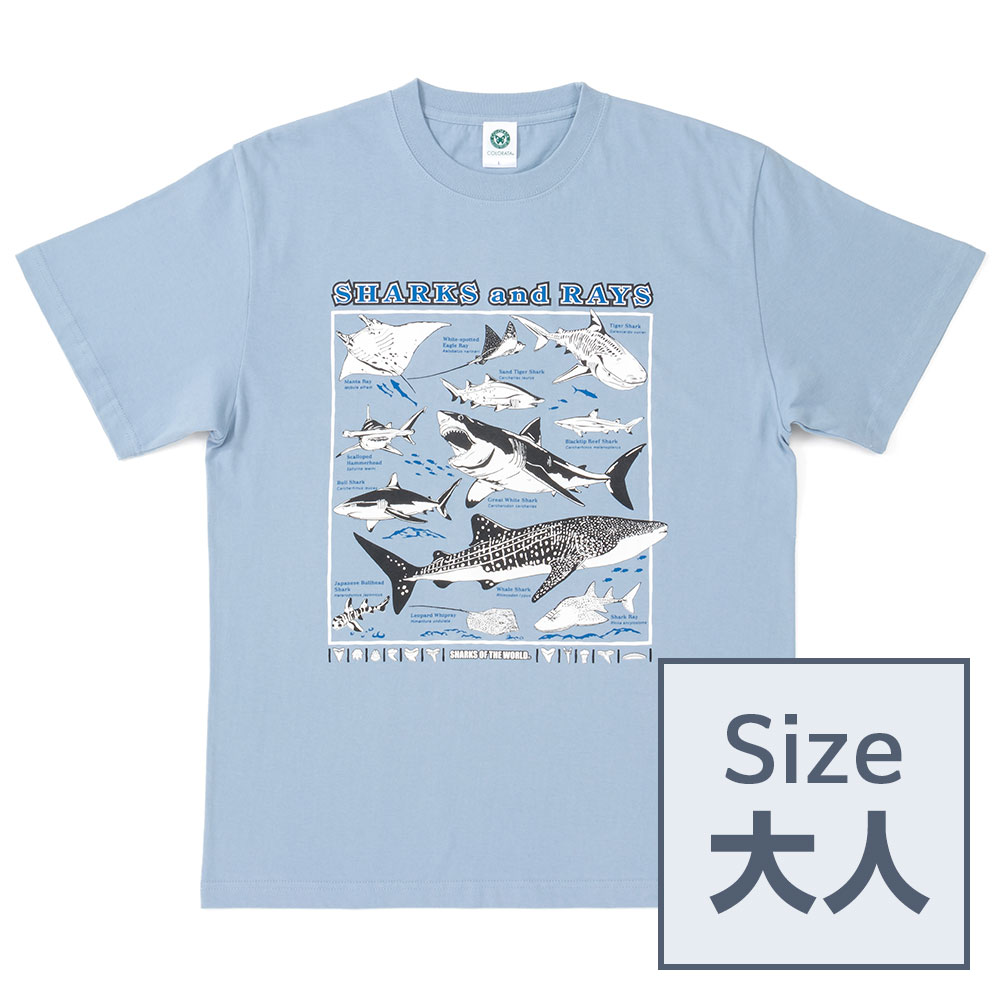 c-tshirt_sw01_ml-m-01-pl.jpg