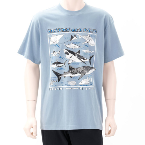 【大人サイズ】生物図譜 Tシャツ サメとエイの仲間 スモーキーブルー 半袖 M L