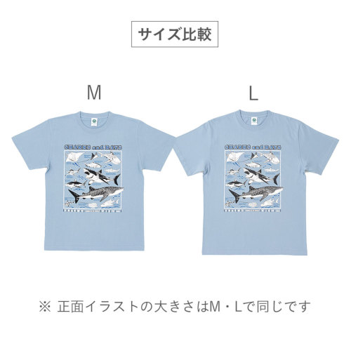 生物図譜Tシャツ サメとエイの仲間│動物 カロラータ オンライン