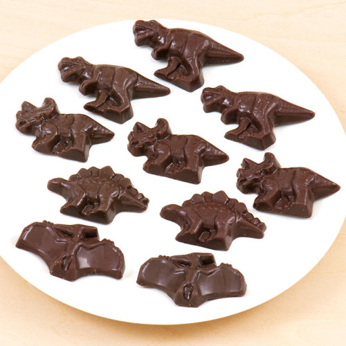 ダイナソー チョコレート│動物 カロラータ オンラインショップ