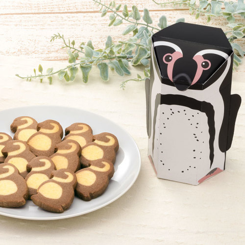 アイスボックスクッキー フンボルトペンギン