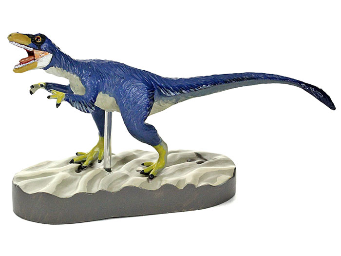 (未使用･未開封品)　カロラータ 羽毛恐竜 フィギュア (立体図鑑) 恐竜 リアル フィギュアボックス [解説書/スタンド付き] 食品衛生法クリア 7種 0pbj0lf Amazon.co.jp: カロラータ 羽毛恐竜 フィギュア 立体図鑑 (恐竜
