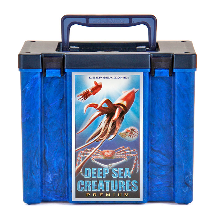 動物 生物 立体図鑑 深海生物プレミアムボックス / カロラータ