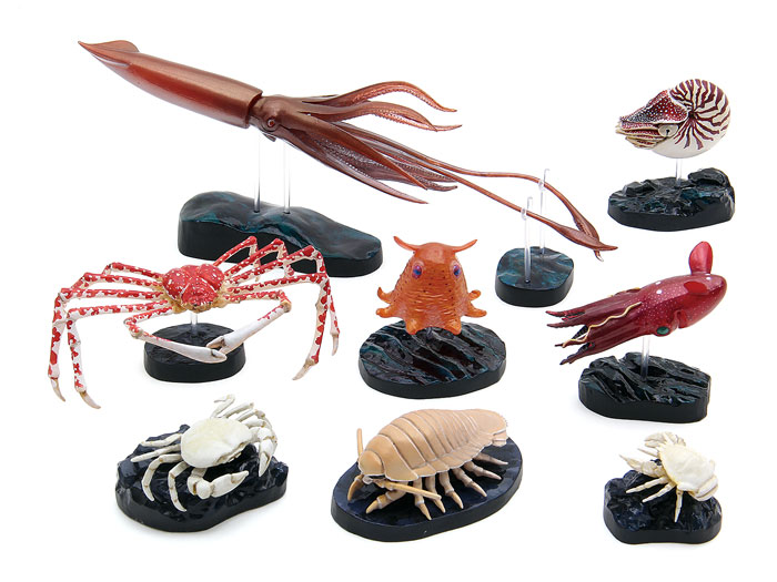 カロラータ 深海生物 プレミアムボックス COLORATA 動物 生物 立体図鑑 深海生物プレミアムボックス / カロラータ