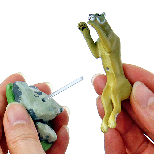 動物 生物 立体図鑑 ワイルドキャットボックス / カロラータ 動物 生物 立体図鑑 ワイルドキャットボックス / カロラータ