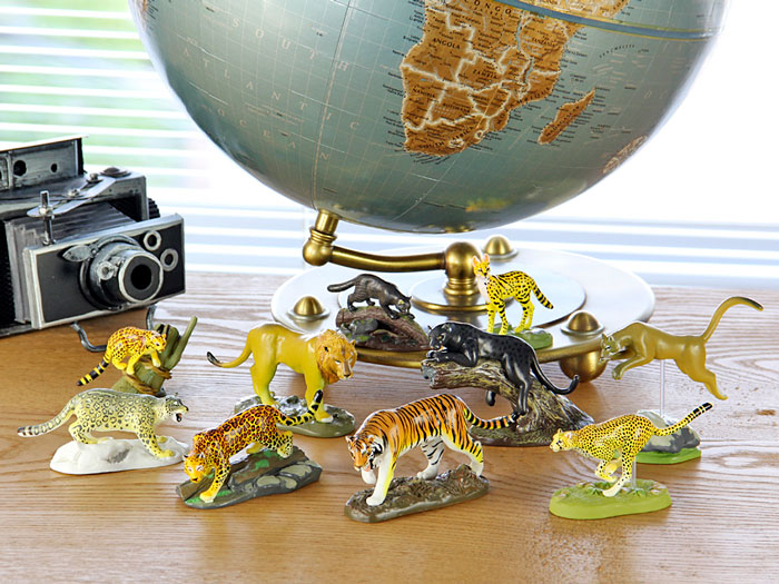 立体図鑑／ワイルドキャットBOX カロラータ　立体図鑑　ワイルドキャットボックス