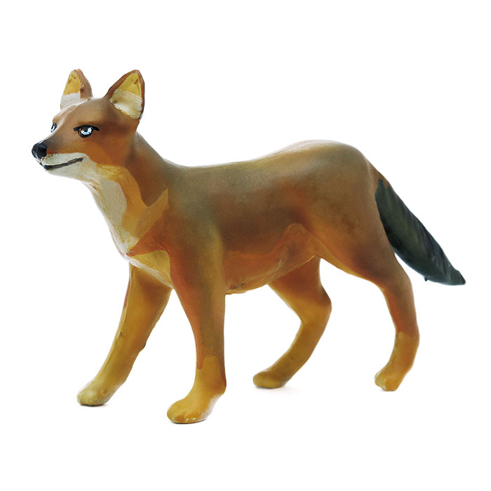 動物 生物 立体図鑑 動物地理区 東洋区ボックス カロラータ オンラインショップ