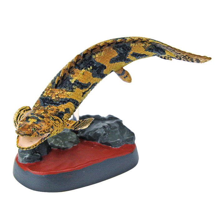 ハンドメイド　34cmポリプテルス エンドリケリー　魚模型　フィギュア　熱帯魚 ハンドメイド 34cmポリプテルス エンドリケリー 魚模型
