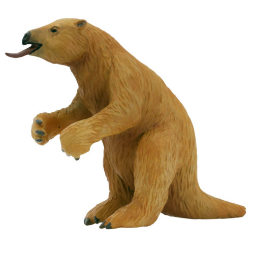 木彫　絶滅哺乳類　アルケオテリウム　頭骨模型　1/5スケール 木彫 絶滅哺乳類 アルケオテリウム 頭骨模型 1/5スケール - メルカリ