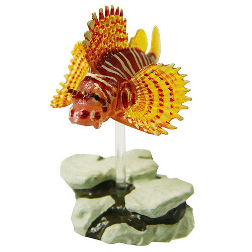 ⭕️美品・新品　カロラータ立体フィギュアボックス〈コーラルリーフフィッシュ〉 動物 生物 立体図鑑 コーラルリーフフィッシュボックス