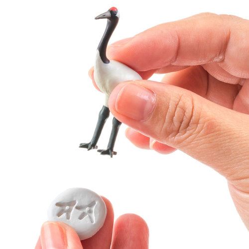 動物 立体図鑑 日本の動物ボックス│動物 カロラータ オンラインショップ