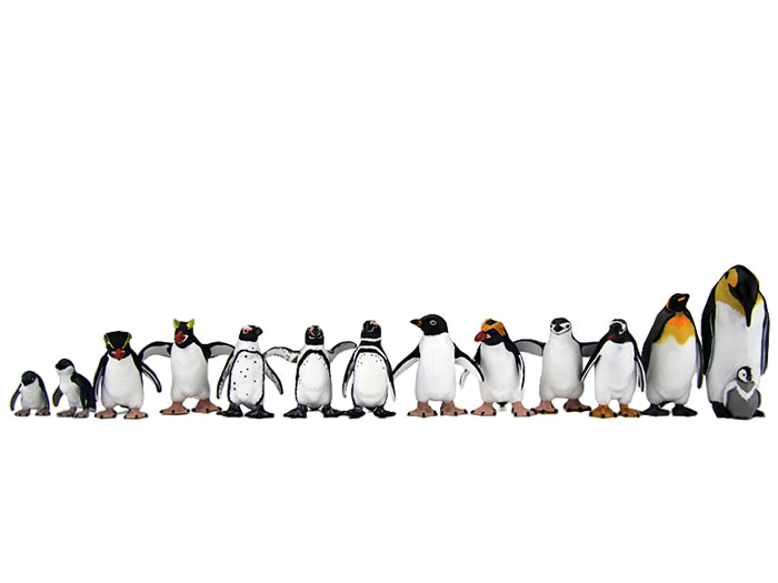 動物 生物 立体図鑑 ペンギンボックス カロラータ オンラインショップ