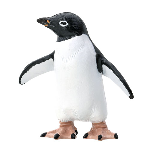動物 生物 立体図鑑 ペンギンボックス / カロラータ オンラインショップ