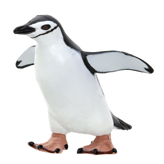 立体図鑑リアルフィギュアボックス ペンギン 2mvetro Amazon | カロラータ ペンギン 立体図鑑 (12種 13個 / 解説書