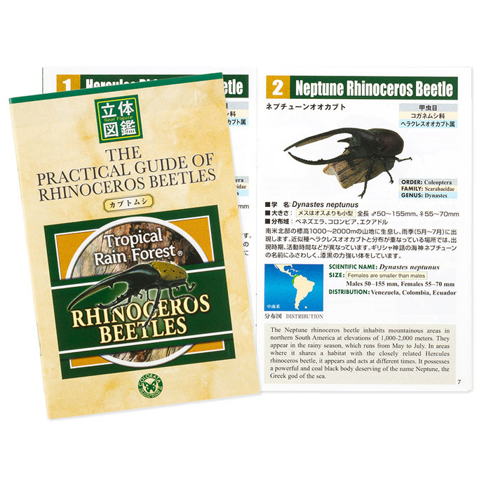 動物 生物 立体図鑑 ライナセラスビートルボックス / カロラータ