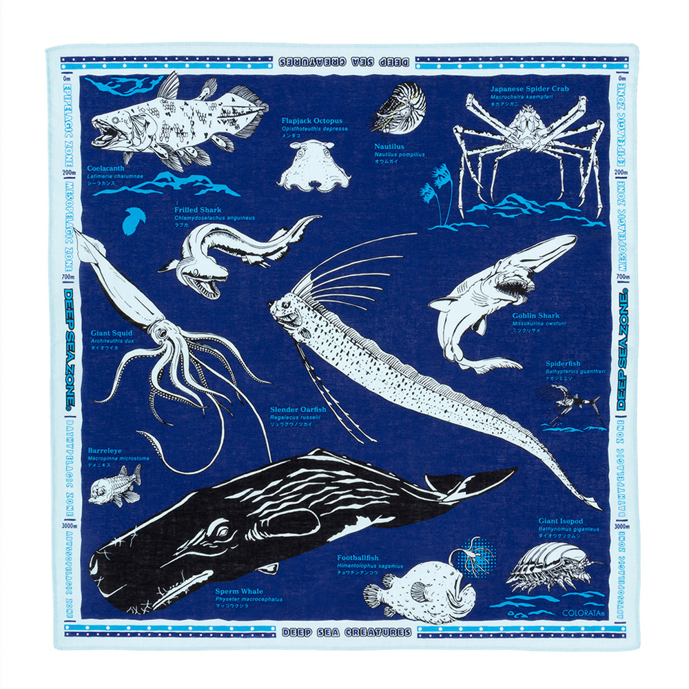 生物図譜ハンカチ 深海の世界│動物 カロラータ オンラインショップ