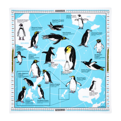 生物図譜ハンカチ ペンギン