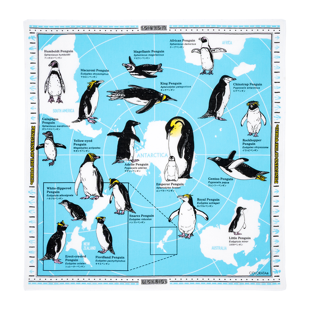 生物図譜ハンカチ ペンギン│動物 カロラータ オンラインショップ
