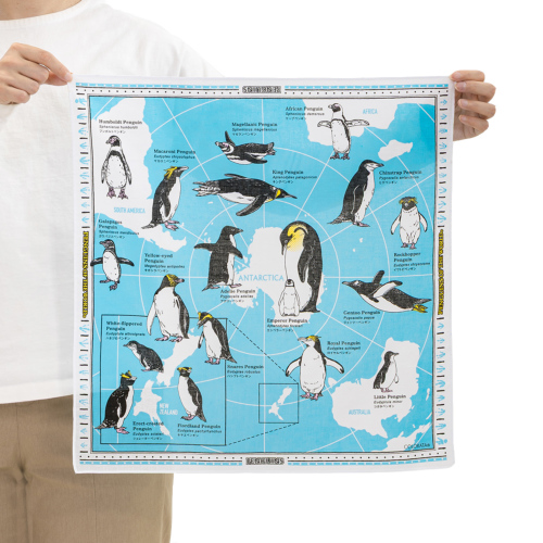 生物図譜ハンカチ ペンギン│動物 カロラータ オンラインショップ