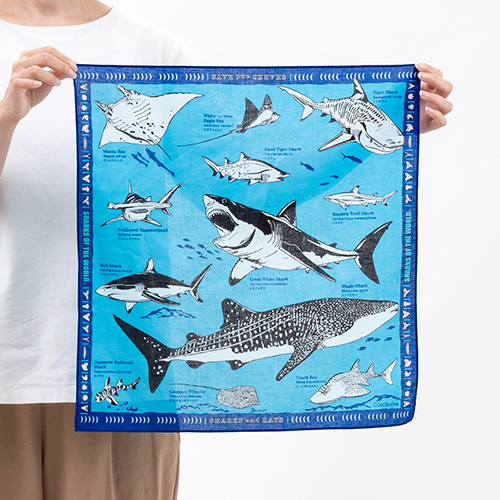 生物図譜ハンカチ サメとエイの仲間│動物 カロラータ オンライン