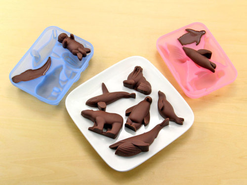 動物 生物 アニマルアイストレー 北極と南極の動物 アニマル