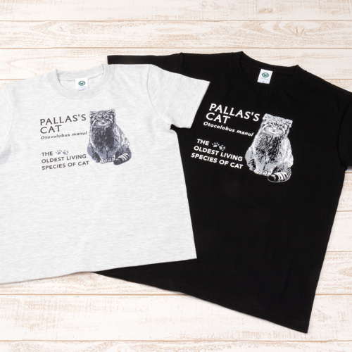 ミュージアムデザインTシャツ マヌルネコ│動物 カロラータ オンライン