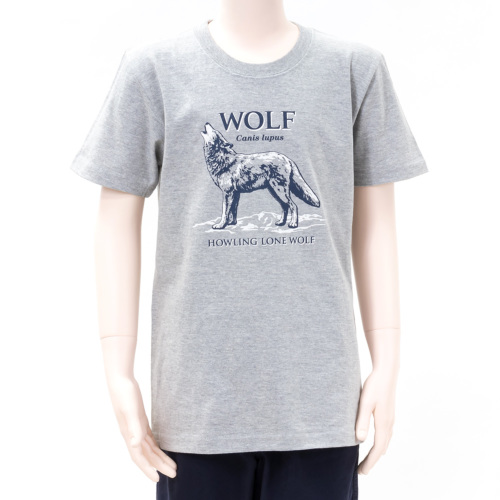 ミュージアムデザインTシャツ オオカミ│動物 カロラータ ミュージアムデザインTシャツ オオカミ│動物 カロラータ