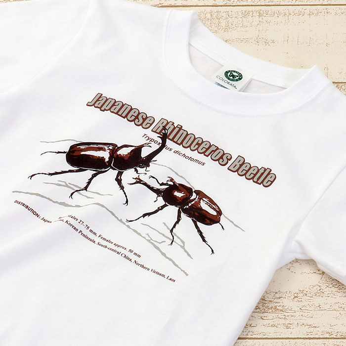 動物 生物 ミュージアムデザイン Tシャツ カブトムシ 日本 ホワイト 子供サイズ 半袖 カロラータ オンラインショップ