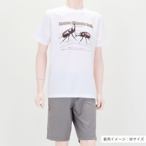 動物 生物 ミュージアムデザイン Tシャツ カブトムシ(日本) ホワイト S