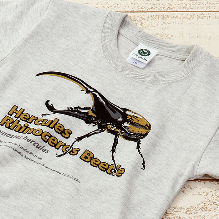 動物 生物 ミュージアムデザイン Tシャツ ヘラクレスオオカブト ライトグレー 子供サイズ 半袖 カロラータ オンラインショップ