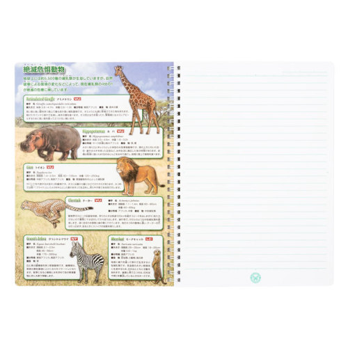 Amazon.co.jp: 【絶版 予測占星学ノート : 文房具・オフィス用品