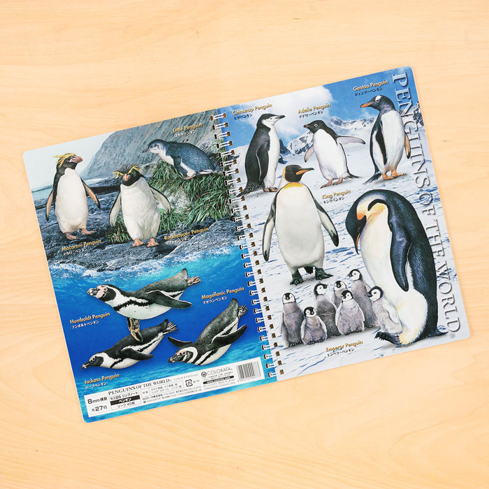 動物 生物 セミb5 リングノート ペンギン カロラータ オンラインショップ