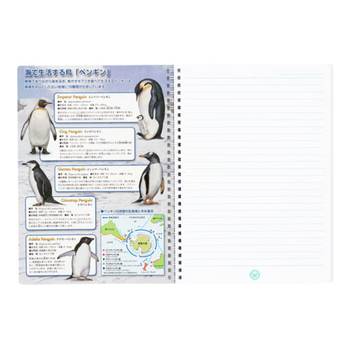 セミB5 リングノート ペンギン│動物 カロラータ オンラインショップ