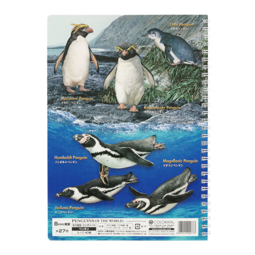 ペンギンノート Amazon | ペンギンブックス ノート A5 変形 横罫 7mm NOT TO BE