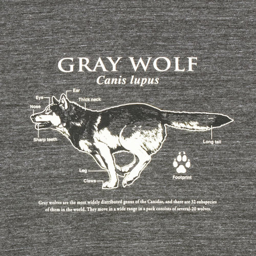 動物 生物 サイエンスデザイン Tシャツ タイリクオオカミ グレー M／L