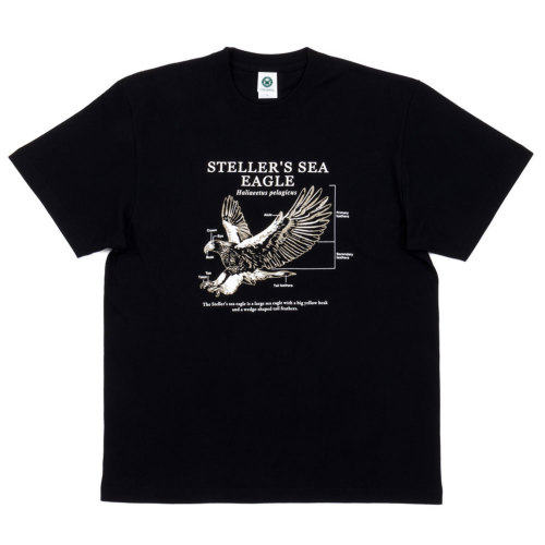 送料無料の商品 サイエンスTシャツデザイン カロラータ オオワシ│動物 Tシャツ(半袖/袖なし)