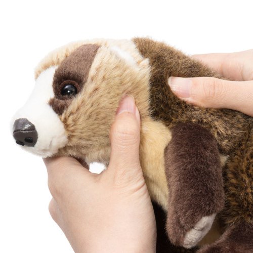 動物 生物 ぬいぐるみ リアルアニマルベイビー ニホンアナグマ