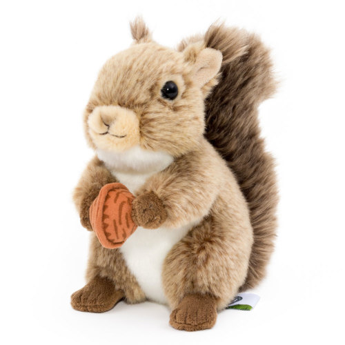 �ʂ������ ���A���A�j�}���x�C�r�[ �j�z�����X�i�~�сj