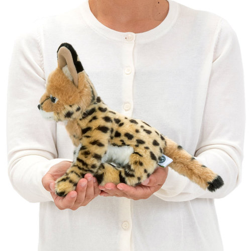 動物 生物 ぬいぐるみ リアルアニマルファミリー サーバル
