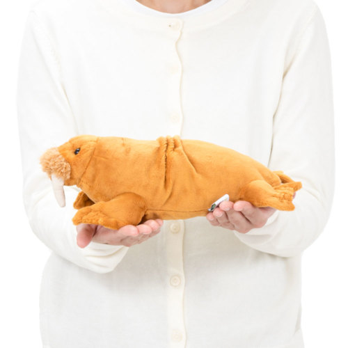 動物 生物 ぬいぐるみ ねそべりシリーズ セイウチ / カロラータ