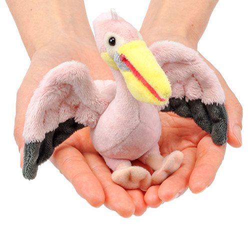 鳥類 マスコット モモイロペリカン│動物 カロラータ オンライン