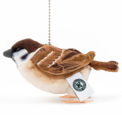リアル鳥類マスコット スズメ│動物 カロラータ オンラインショップ