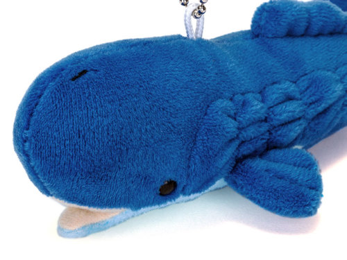 動物 生物 ぬいぐるみマスコット マッコウクジラ / カロラータ