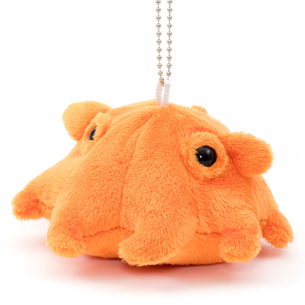 めんだこ Amazon.co.jp: 海中散歩 ふわもこぬいぐるみ Sサイズ メンダコ