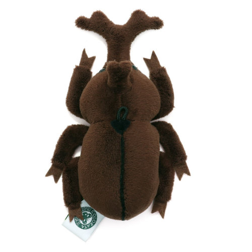 リアル 昆虫 カブトムシ クワガタ マスコット 3種 リアル 昆虫 カブトムシ クワガタ マスコット 3種 リアル 昆虫
