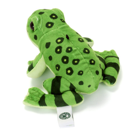 お得】 ぬいぐるみ 2点おまとめ売り カバ カエル